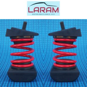 Molle per rinforzo balestra anteriore Fiat 500 e Bianchina-kit (6 pz)